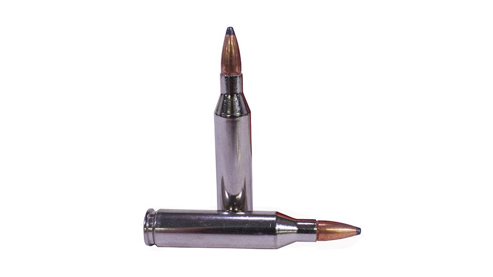 Federal Premium 243 Win 100gr Sier-BTSP VtlShk/20 P243C