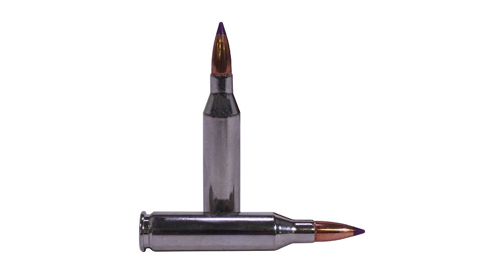 Federal Premium 243 Win 95gr Nosl B-Tip VtlShk/20 P243J