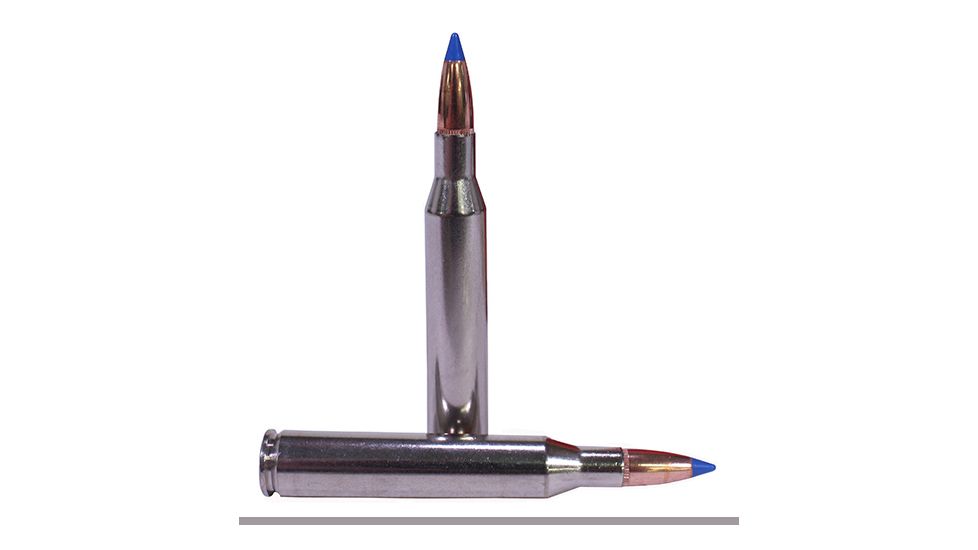 Federal Premium 25-06 Rem 100gr NoslB-Tip VtSh/20 P2506D