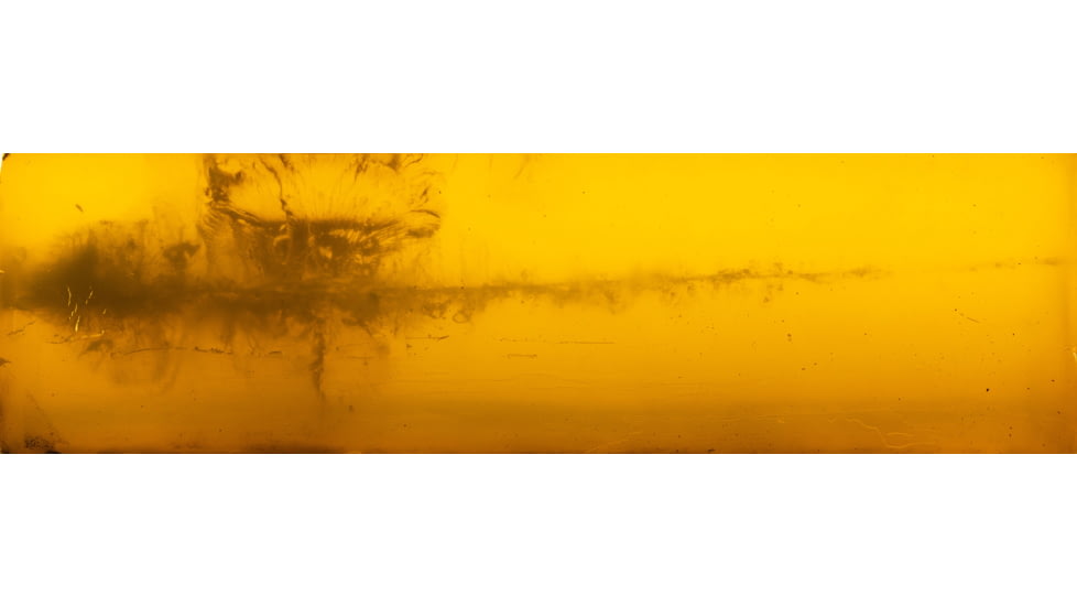 Federal 7mm Backcountry 170 Grain Terminal Ascent Peak Alloy Rifle Ammo, 20 Rounds, P7BCTA3