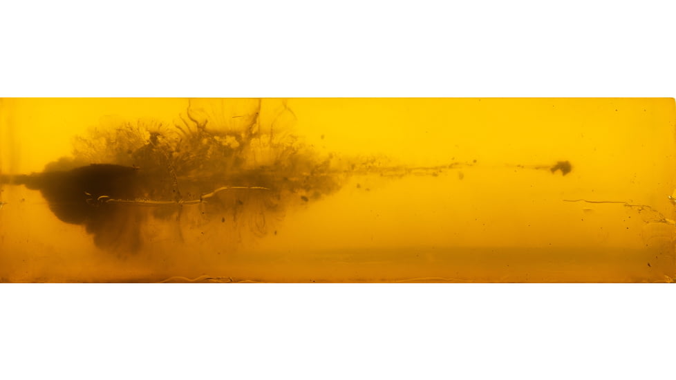 Federal 7mm Backcountry 195 Grain Berger Elite Hunter Peak Alloy Rifle Ammo, 20 Rounds, P7BCEH1