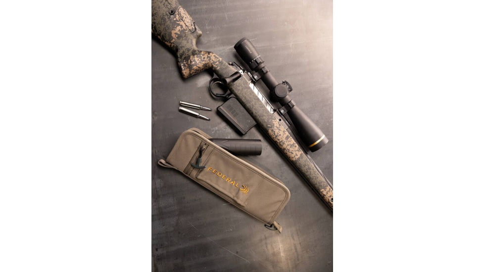 Federal Suppressor Case