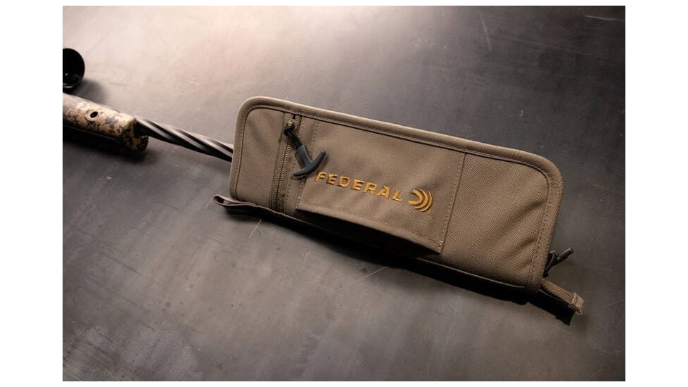 Federal Suppressor Case
