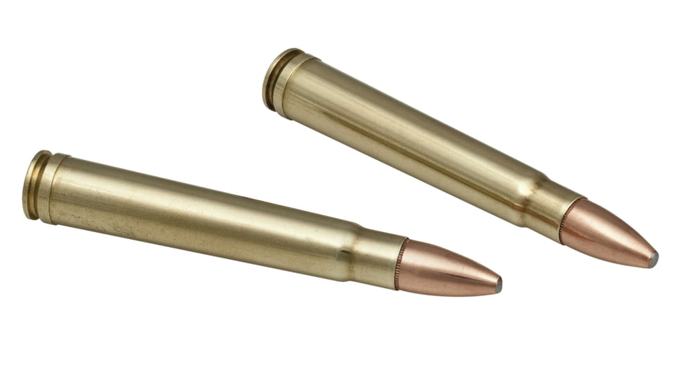 Federal Premium Fusion Rifle Ammo, .375 H&amp;H Magnum, Fusion Soft Point, 300 grain, 20 Rounds, F375FS1