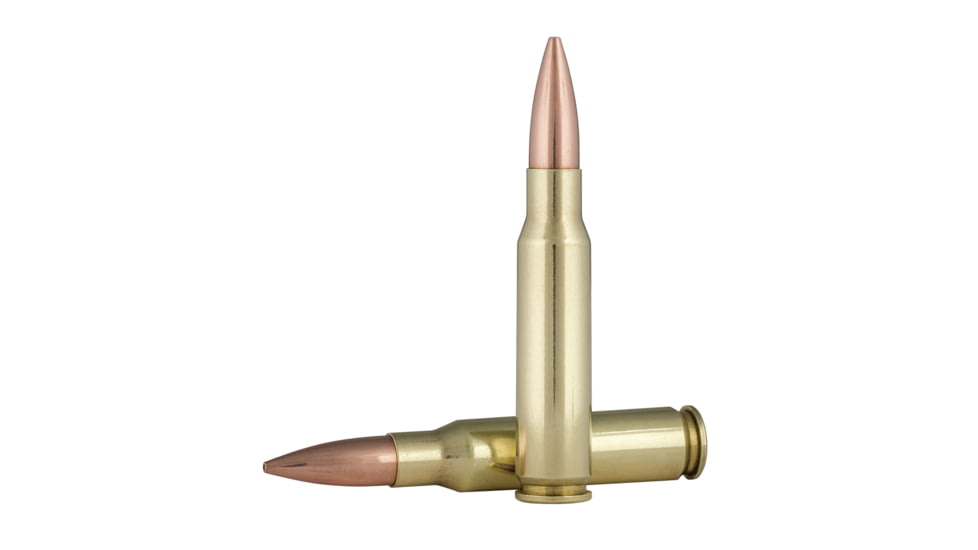 Federal Premium SIERRA MATCHKinG BTHP .308 Winchester 175 Grain Sierra MatchKing Boat Tail Hollow Point Centerfire Rifle Ammo, 20 Rounds, GM308M2