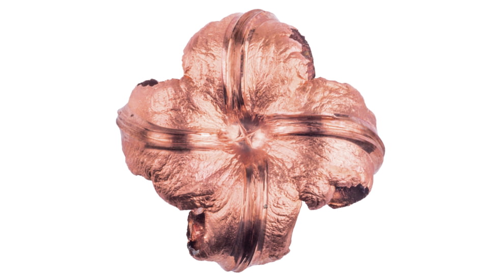 Federal Premium Rifle Ammo, .30-06 Springfield, Barnes Triple-Shock X, 180 grain, 20 Rounds, P3006AE