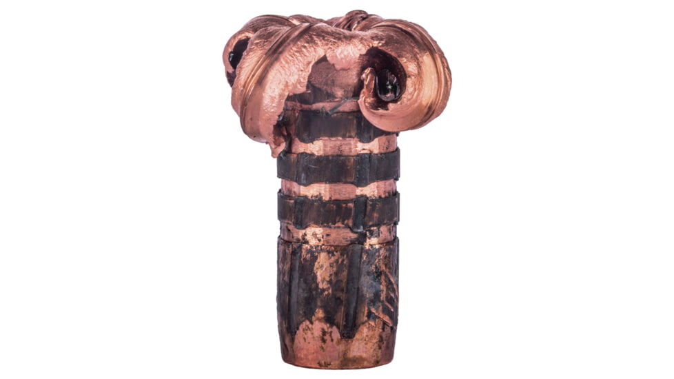 Federal Premium Rifle Ammo, .30-06 Springfield, Barnes Triple-Shock X, 180 grain, 20 Rounds, P3006AE