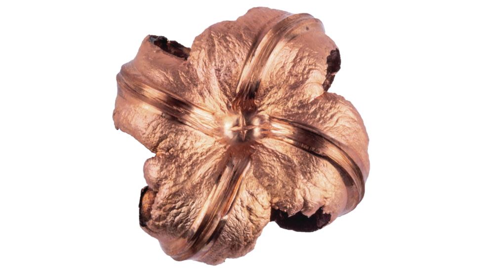 Federal Premium Rifle Ammo, .30-06 Springfield, Barnes Triple-Shock X, 180 grain, 20 Rounds, P3006AE