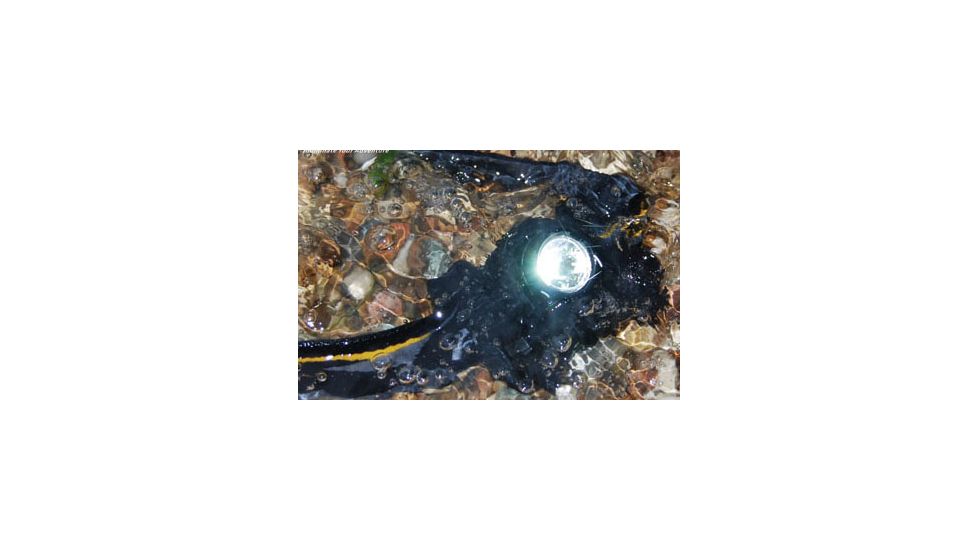 Fenix HL21 Headlamp - Waterproof