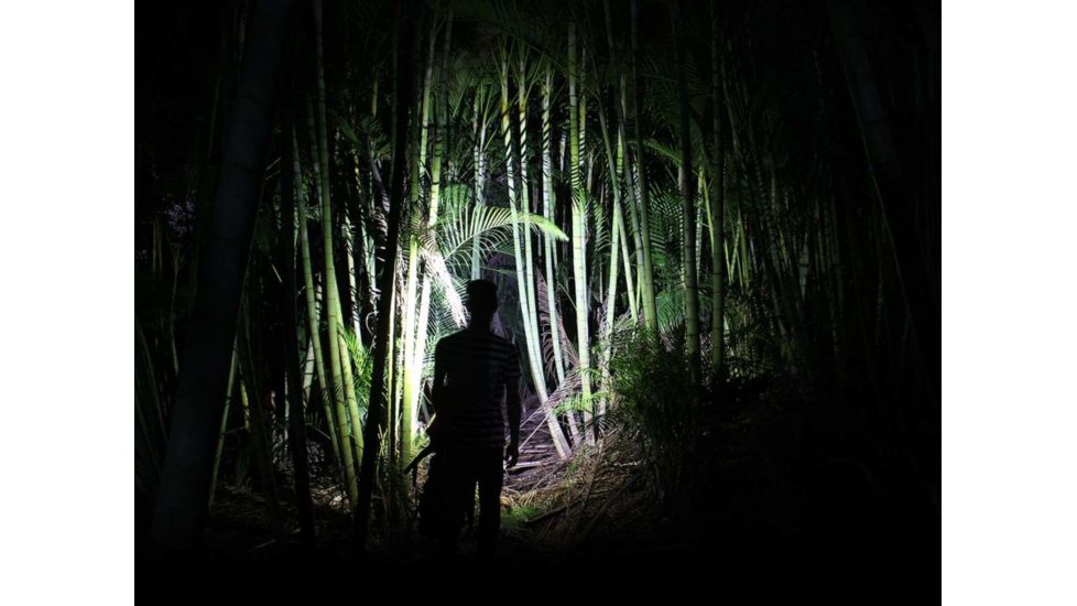 Fenix Rechargeable Focusable LED Headlamp CREE XP-L HI V2 LED 600 Lumens Includes Built-In Li-Poly Battery Pack, Blue, HL40XPBL