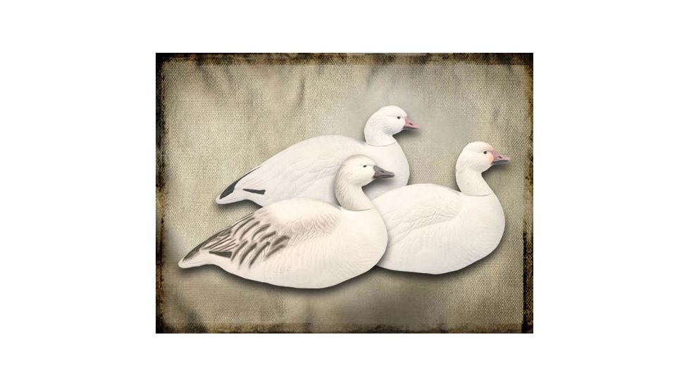 Final Approach Last Pass 12 Pack Snow Goose, Shells Upright, Box