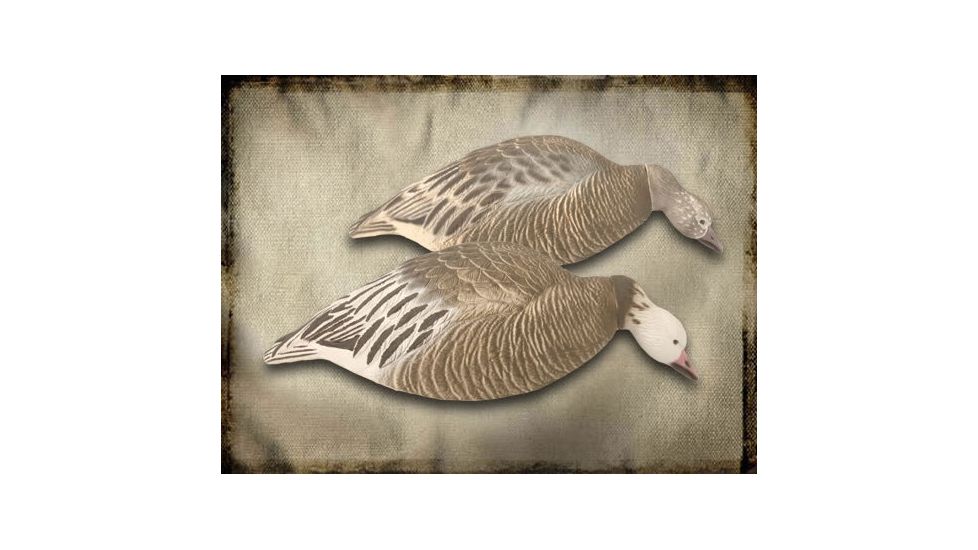 Final Approach Last Pass 12 Pack Blue Goose, Shells Feeder, Box