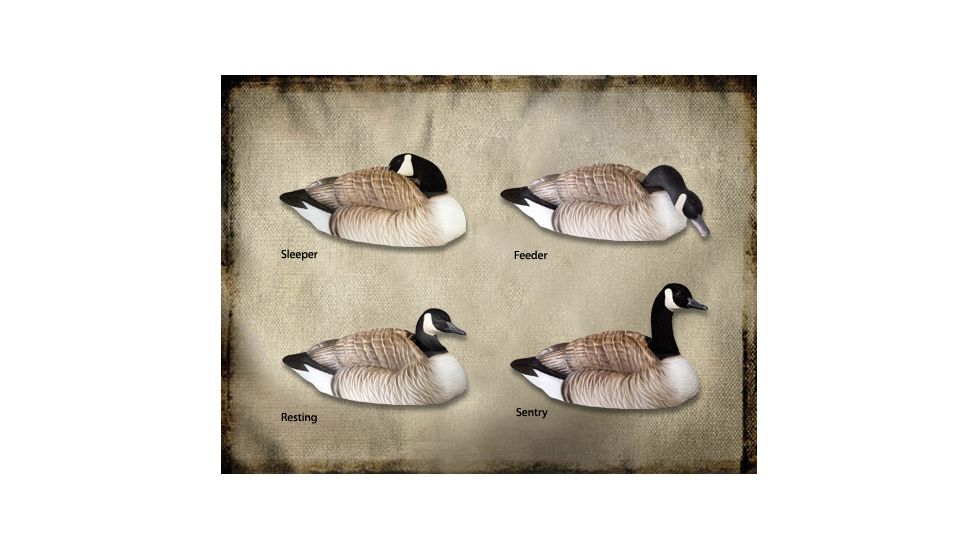 Final Approach FA Last Pass HD Honker Shells 474165 w/ Free S&amp;H