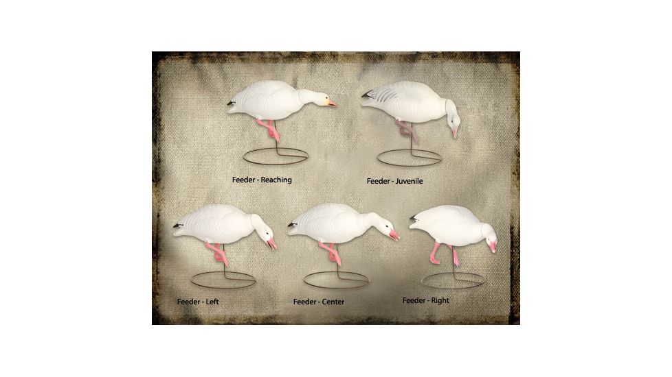 Final Approach FA Last Pass HD Snow Goose Full-Body (Feeders) 474191 w/ Free S&amp;H