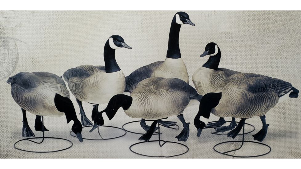 Final Approach FA Last Pass HD Field Honkers - 6 Pack 474170