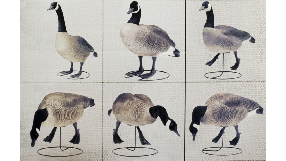 Final Approach FA Last Pass HD Field Honkers - 6 Pack 474170