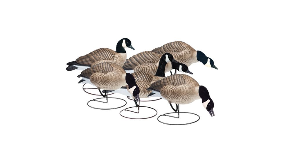 Final Approach Last Pass HD Lesser Canada, Outfitters 6 Pack 474174FA