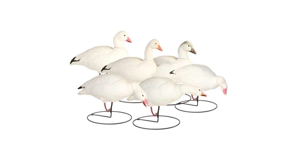 Final Approach Last Pass HD Snow Goose, Outfitters 6 Pack 474192FA