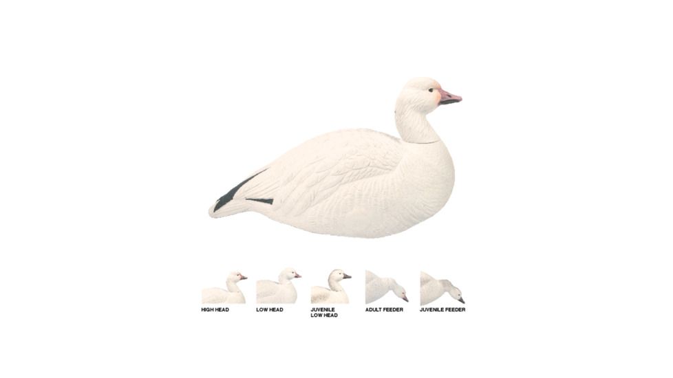 Final Approach Last Pass HD Snow Goose, Shells Outfitters 12 Pack 474188