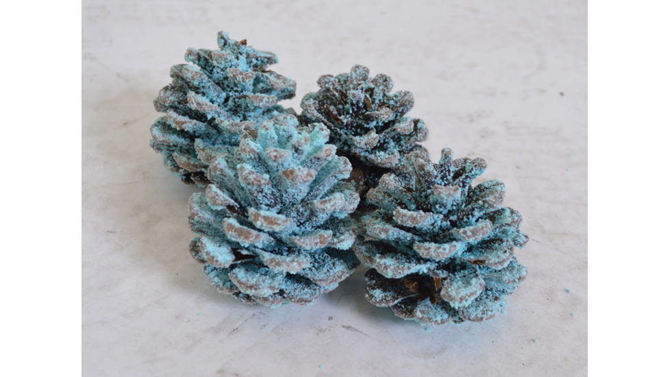 Firebuggz Magical Campfire Cones 4 Pack