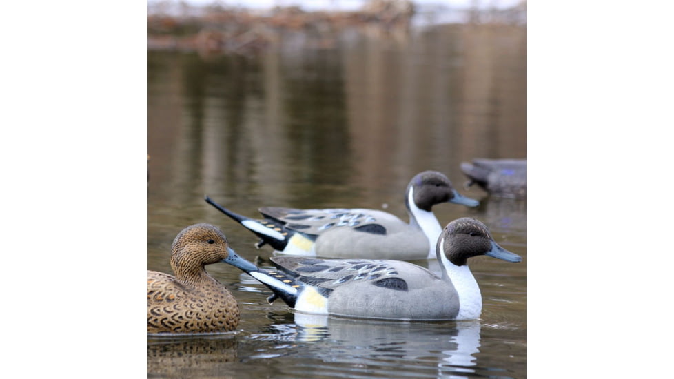 Flambeau Classic Pintail Decoy, Grey/Black, 8022SUV