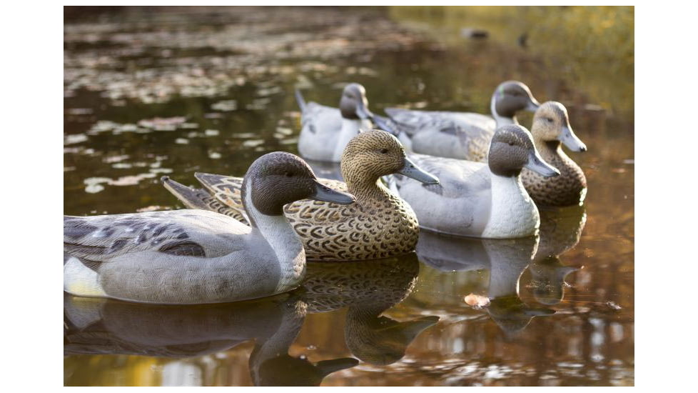 Flambeau Classic Pintail Decoy
