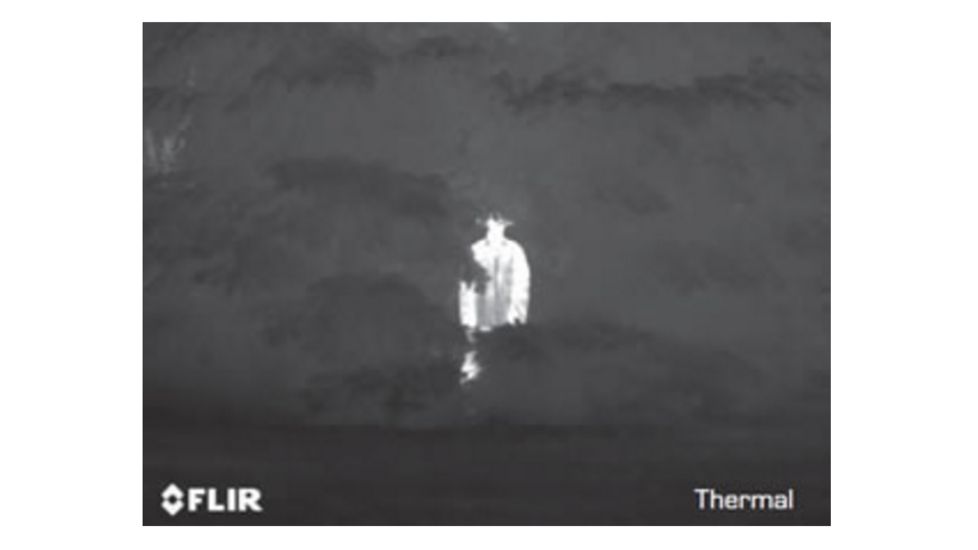 FLIR Systems HS-X 320 Command, NTSC, 9Hz Thermal Night Vision Monocular, Lens Not Included, Black, 431-0020-01-00S