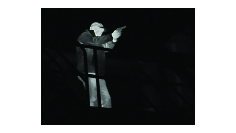 FLIR Systems LS-XR Compact Handheld Thermal Nightvision Monocular Output, EDEMO1