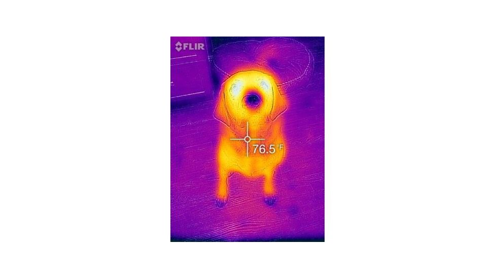 FLIR Systems One Thermal Image Device for Iphone 5/5S 43500010100