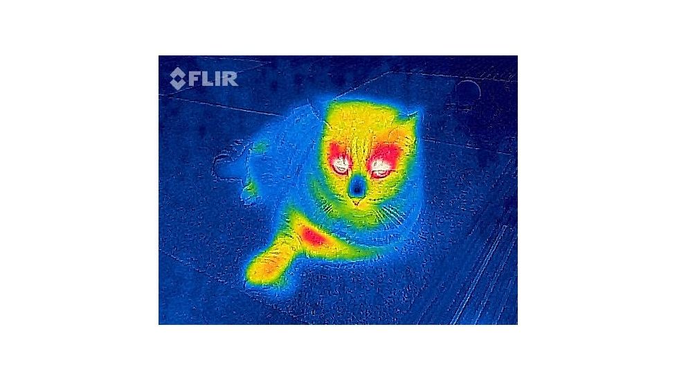FLIR Systems One Thermal Image Device for Iphone 5/5S 43500010100