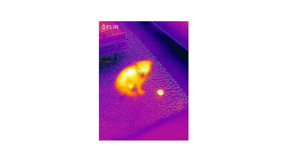 FLIR Systems One Thermal Image Device for Iphone 5/5S 43500010100