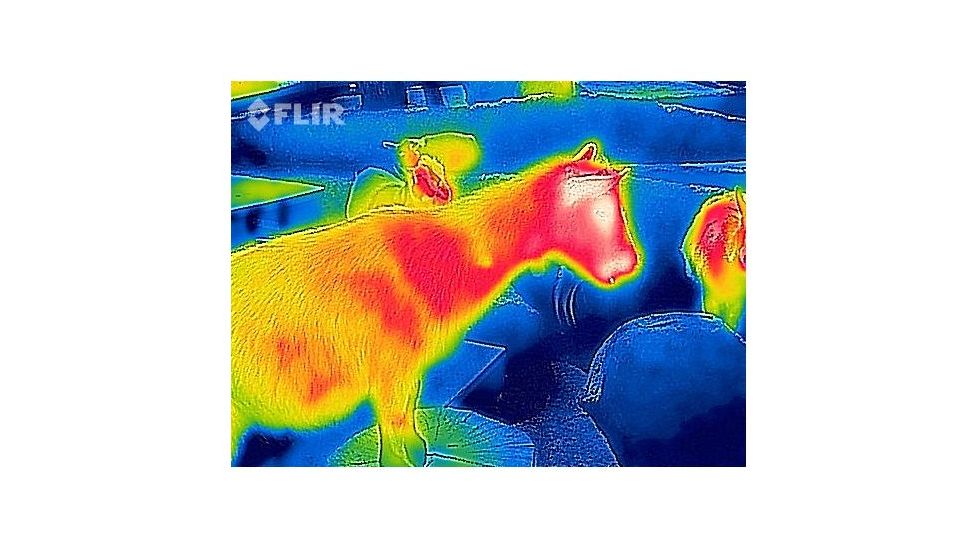 FLIR Systems One Thermal Image Device for Iphone 5/5S 43500010100