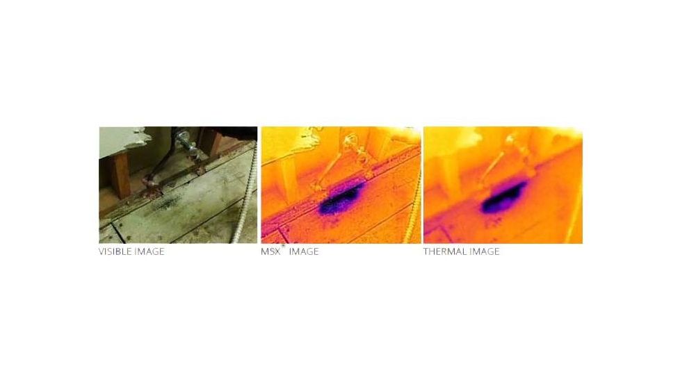 FLIR Systems One Thermal Image Device for Iphone 5/5S 43500010100