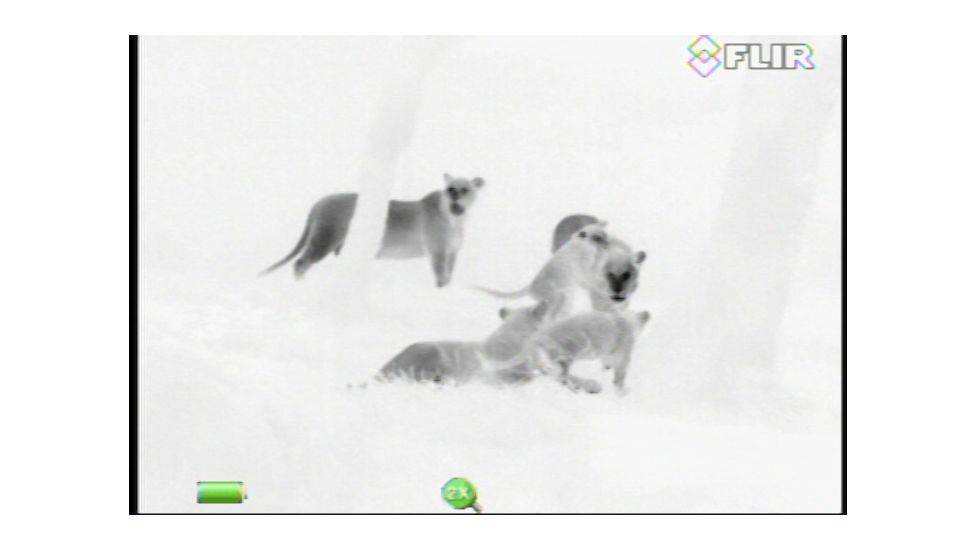 FLIR Systems Scout III Thermal Imager, Detector, Black/Brown 431-00xx-31-00