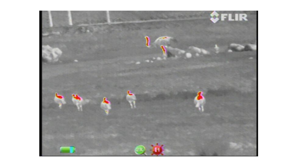 FLIR Systems Scout III Thermal Imager, Detector, Black/Brown 431-00xx-31-00