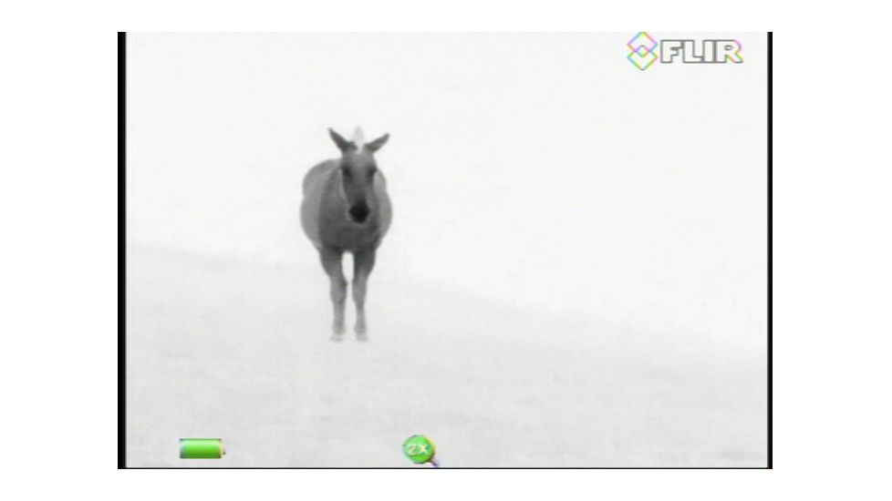 FLIR Systems Scout III Thermal Imager, Detector, Black/Brown 431-00xx-31-00