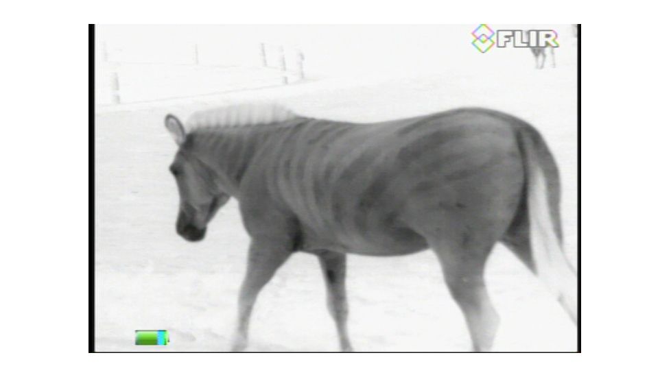 FLIR Systems Scout III Thermal Imager, Detector, Black/Brown 431-00xx-31-00