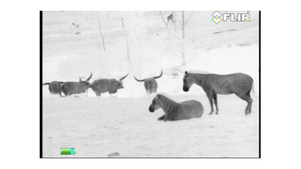 FLIR Systems Scout III Thermal Imager, Detector, Black/Brown 431-00xx-31-00