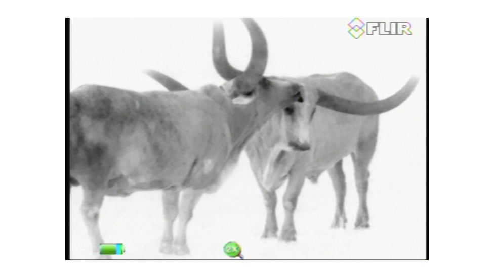 FLIR Systems Scout III Thermal Imager, Detector, Black/Brown 431-00xx-31-00