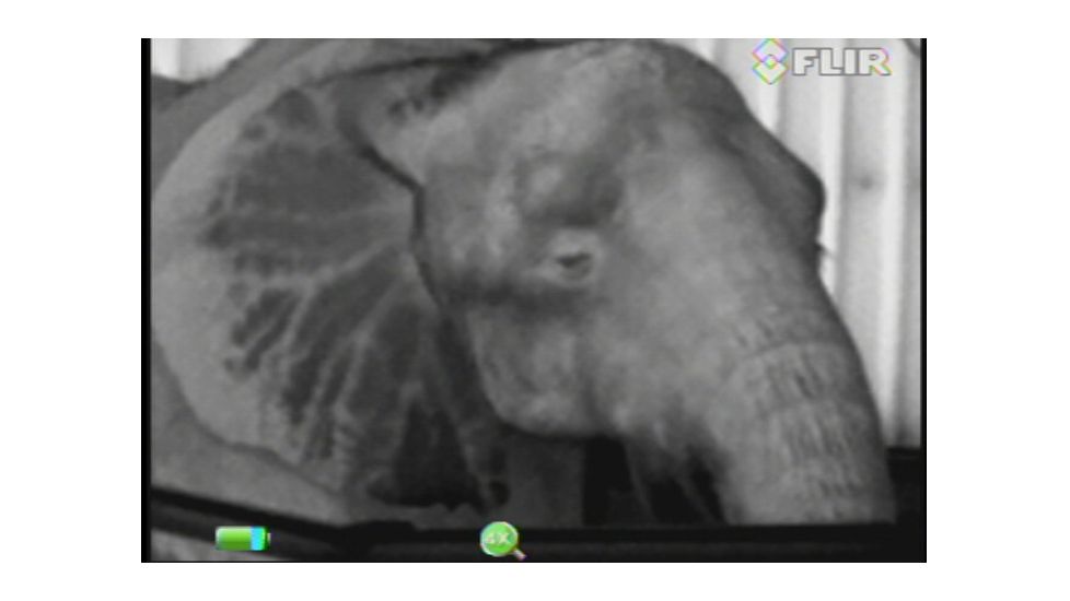 FLIR Systems Scout III Thermal Imager, Detector, Black/Brown 431-00xx-31-00