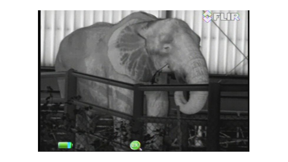 FLIR Systems Scout III Thermal Imager, Detector, Black/Brown 431-00xx-31-00