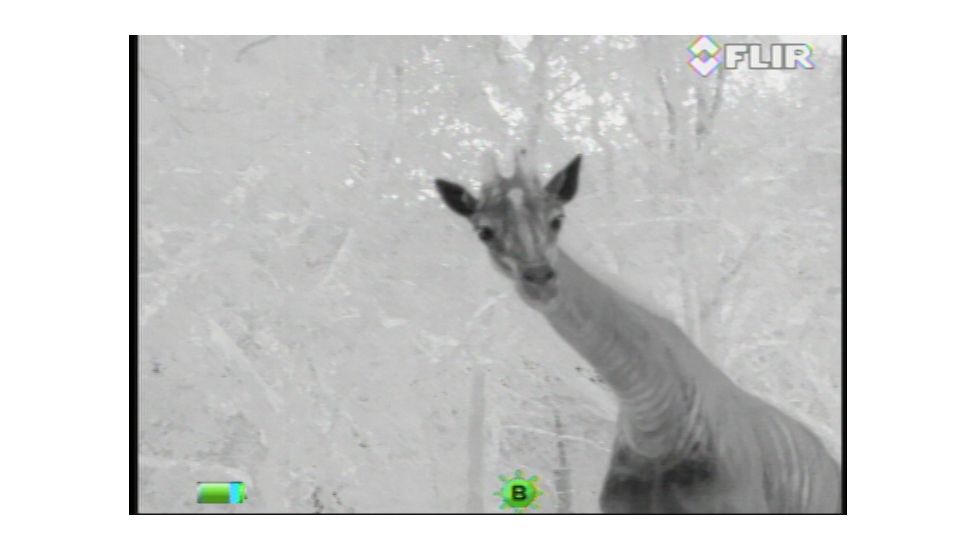 FLIR Systems Scout III Thermal Imager, Detector, Black/Brown 431-00xx-31-00