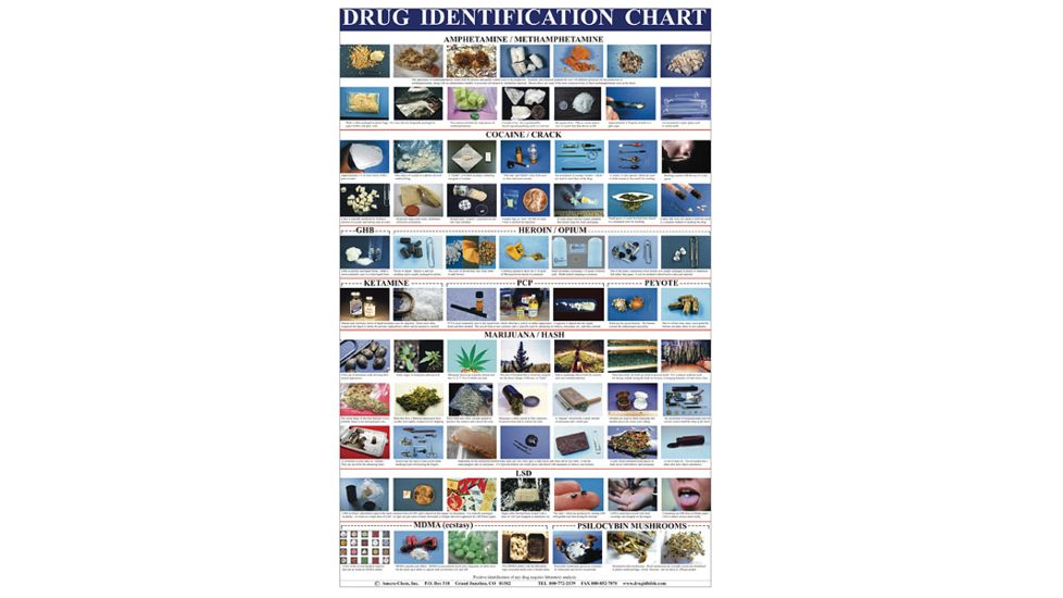 Forensics Source Drug Identification Wall Chart - 1150046