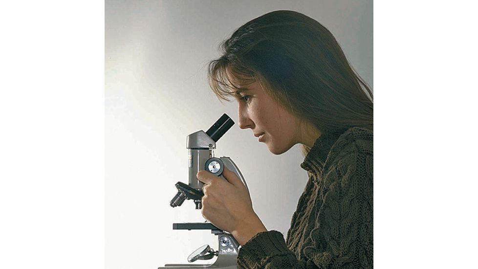 Forensics Source Myst At 323 Maple Fors Simul - 36-6008