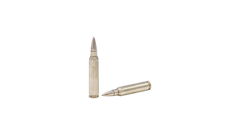 Fort Scott Munitions 5.56 NATO Brass 62 Grain Centerfire Rifle Ammo, 20 Rounds, 556-062-SBV1