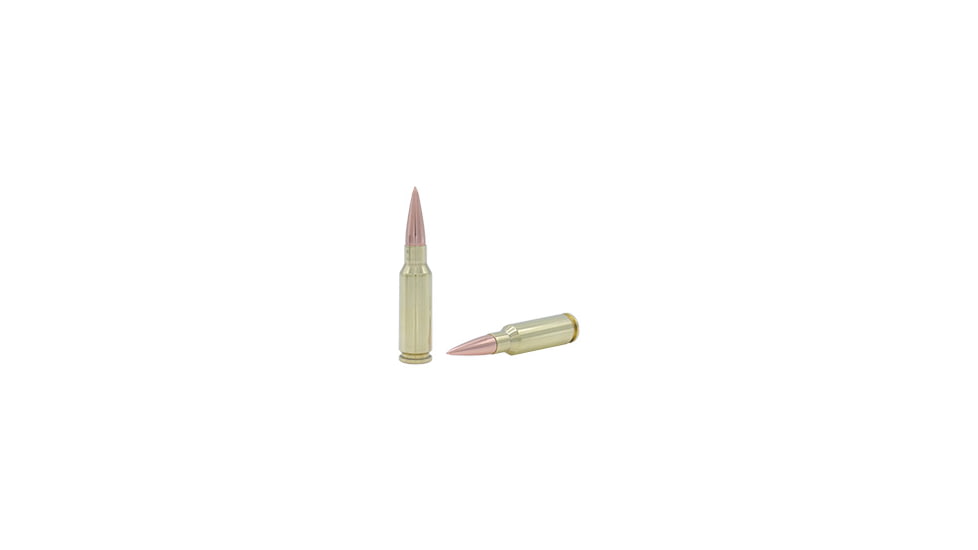 Fort Scott Munitions 6.5 Grendal 123 Grain Centerfire Rifle Ammo, 20 Rounds, 65GR-123-SCV2