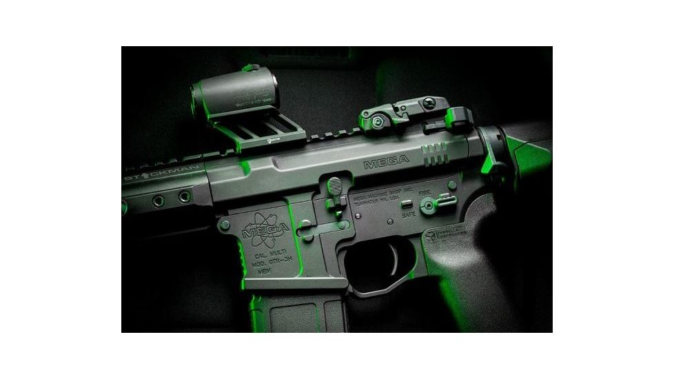 Fortis Manufacturing F1TM Optics Mount - Lower 1/3, Black F1-OPT-LOWER1/3