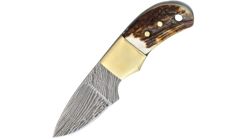 Fox-N-Hound Mini Skinner Damascus Knife, 1.75 Damascus steel blade, Stag bone handle, # 22 / FH121