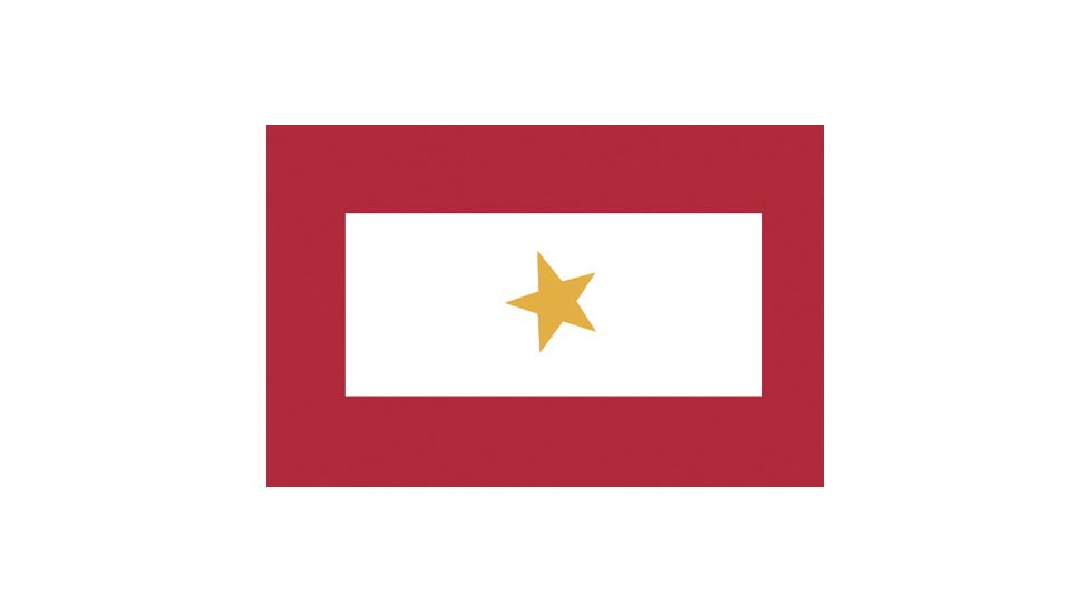 Fox Outdoor 3ft x 5ft Flags, Gold Star, 84-46