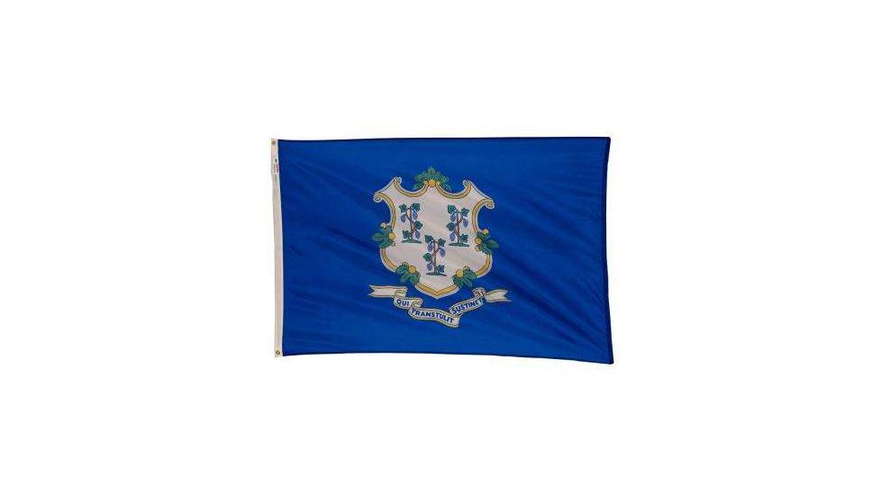 Fox Outdoor 3ft x 5ft State Flags, Connecticut, 84-606